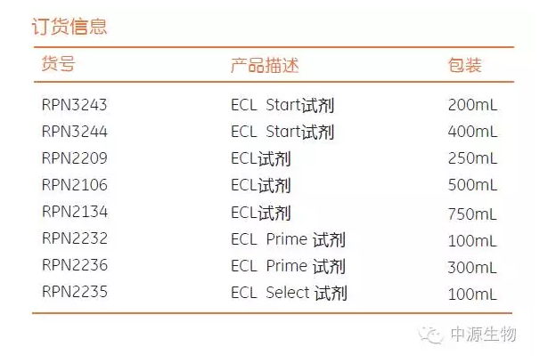 教授和乖乖女H灌满阮阮视频