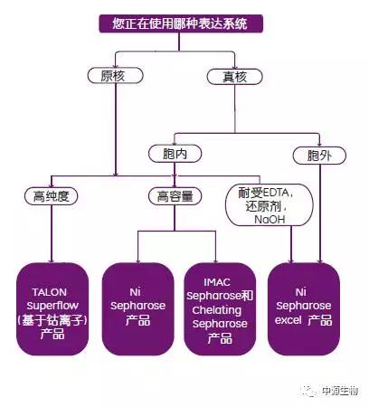 教授和乖乖女H灌满阮阮视频