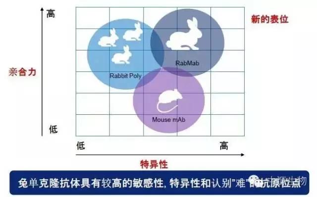 教授和乖乖女H灌满阮阮视频