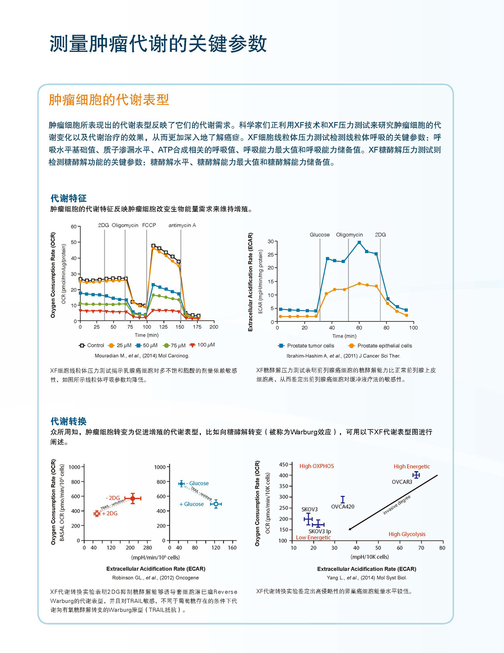 教授和乖乖女H灌满阮阮视频