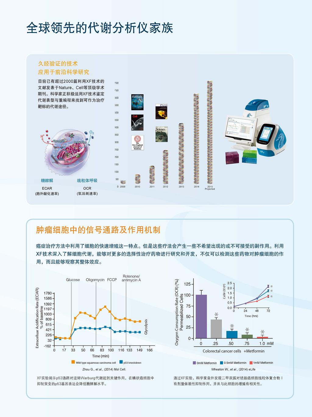 教授和乖乖女H灌满阮阮视频
