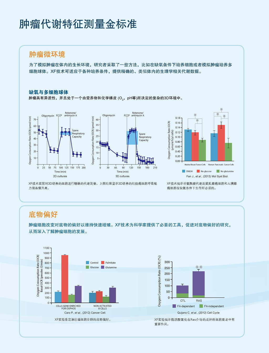 教授和乖乖女H灌满阮阮视频