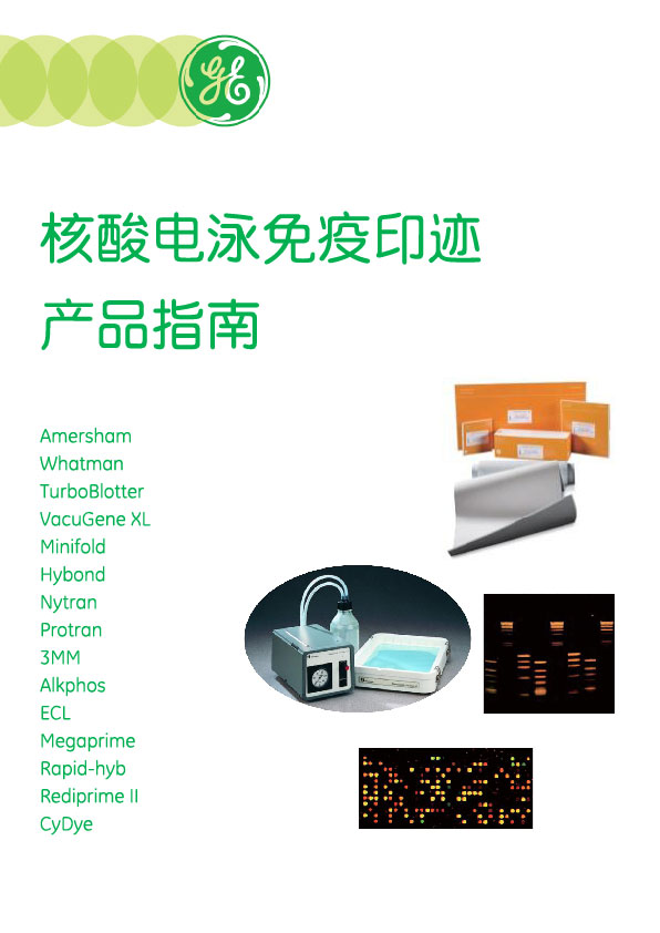 教授和乖乖女H灌满阮阮视频