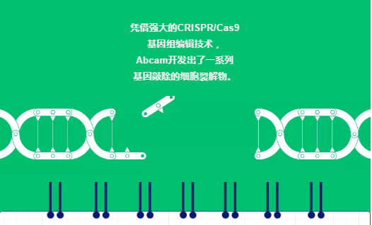 教授和乖乖女H灌满阮阮视频