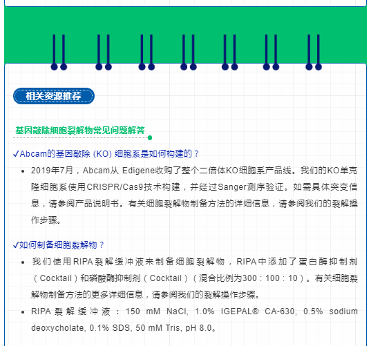 教授和乖乖女H灌满阮阮视频