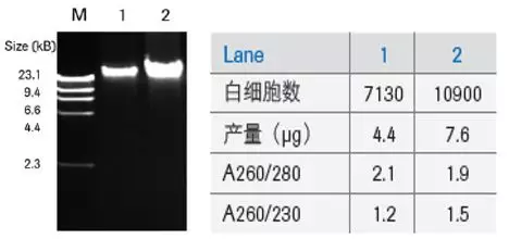 教授和乖乖女H灌满阮阮视频