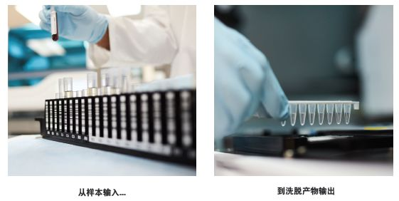 教授和乖乖女H灌满阮阮视频