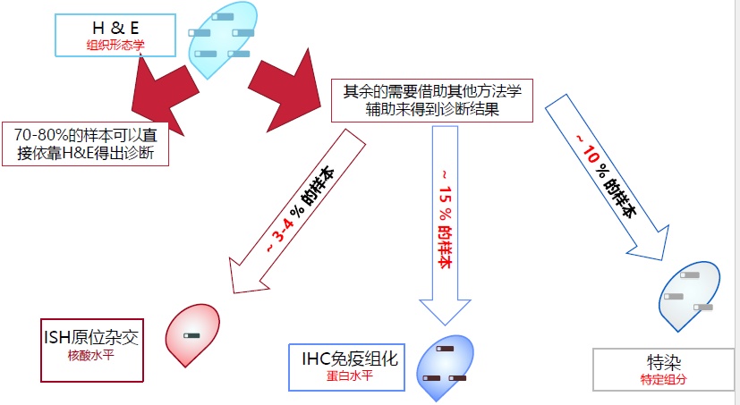 教授和乖乖女H灌满阮阮视频